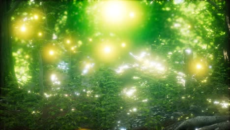 Firefly-Flying-in-the-Forest